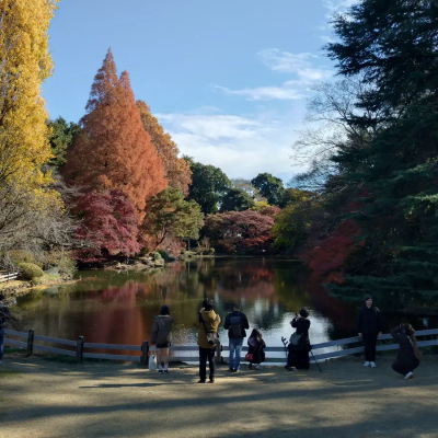 えべっさん の写真
